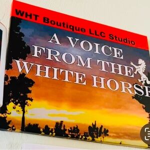 (0374) Sunset Wall Art. Good bye 2025 snake year & Hello 2026 Fire Horse year